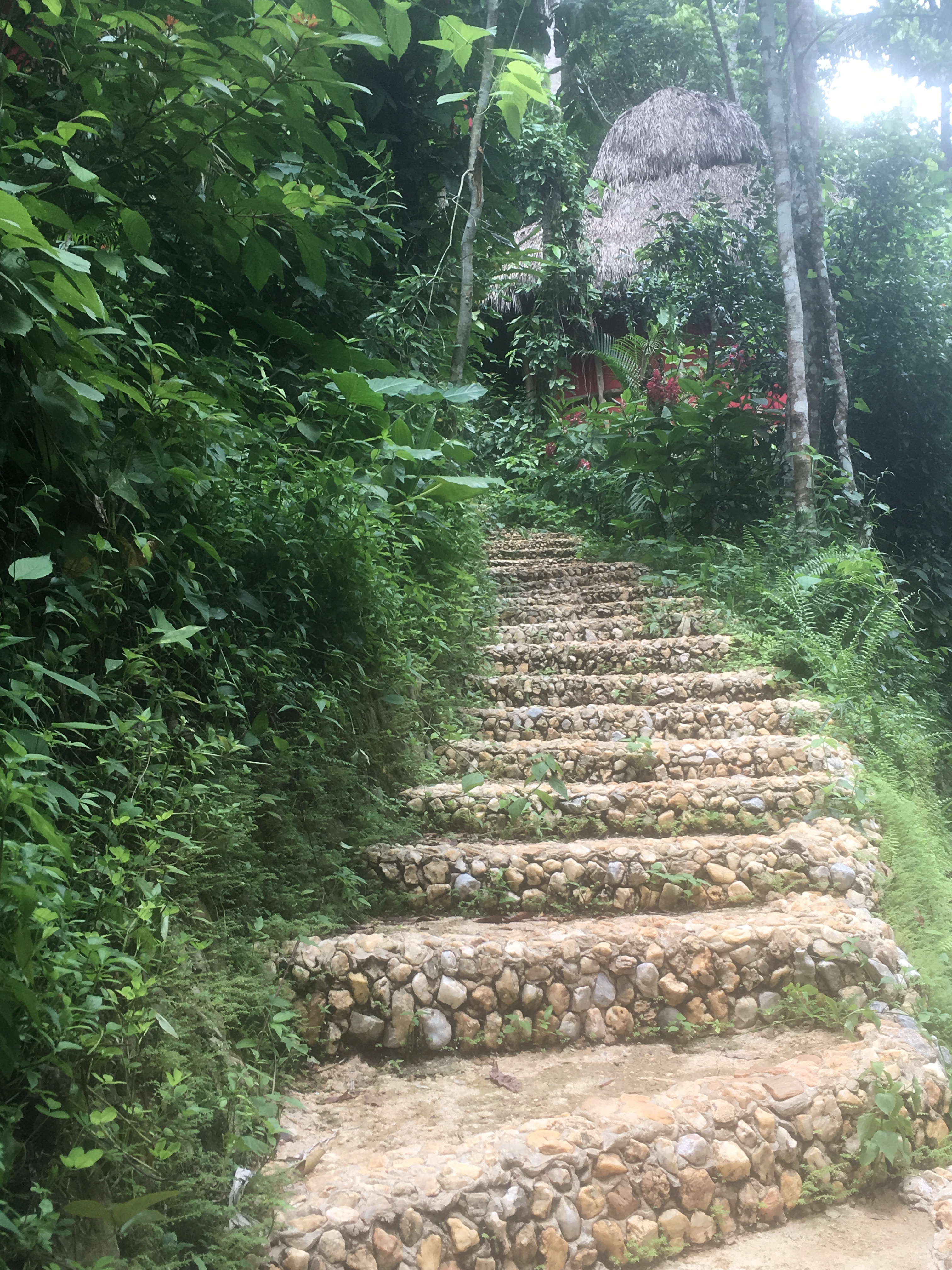 Photos At Dominican Tree House Village Carretera El Valle