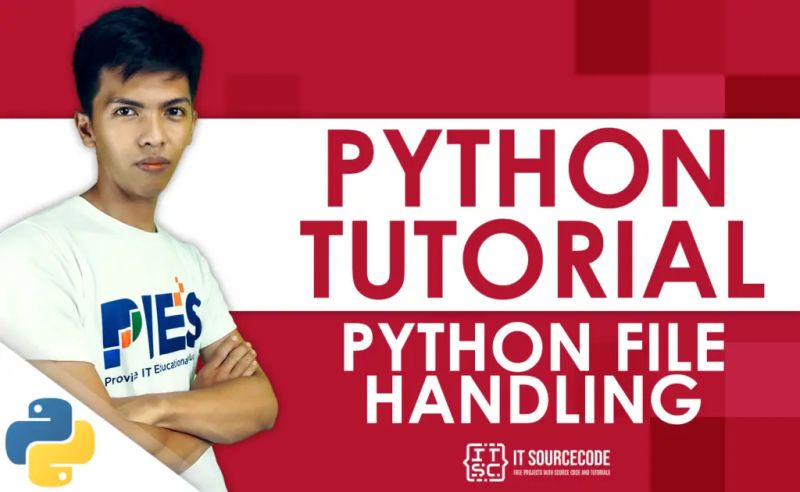 Python Code Snippets Functions Input Handling And File Course Hero - Premium Colorful Art Gallery - Full HD