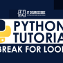 How Python Break For Loop? With Examples