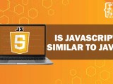 Is Javascript Similar To Java What S The Difference
