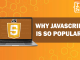 Why Is Javascript So Popular 8 Key Factors