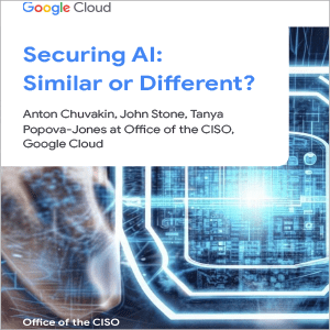 Securing AI: Similar or Different?