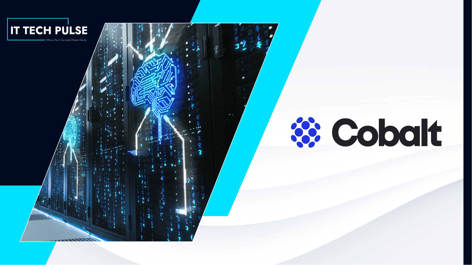 Cobalt AI Expands Expert-Curated Data Platform for AI Labs and Investors