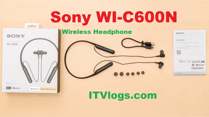 Sony WI-C600N