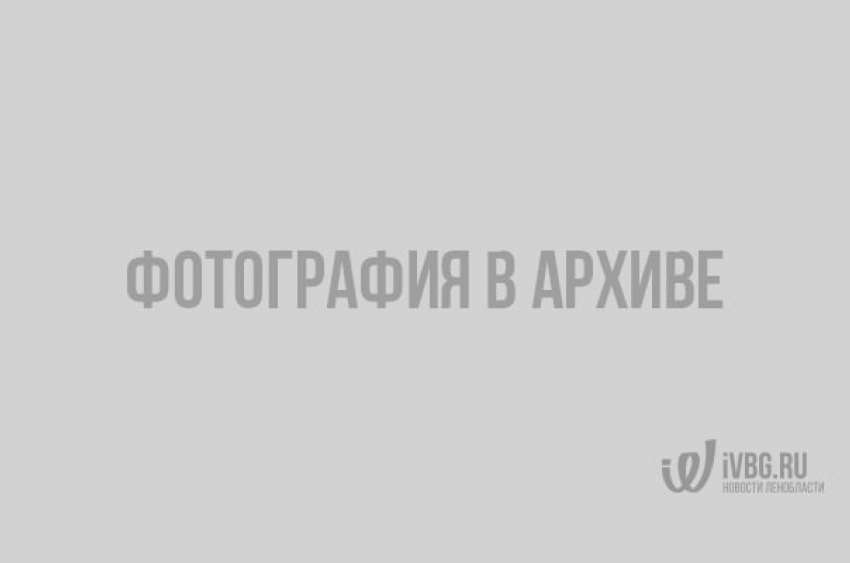Фото 4: Что такое пасха и откуда она произошла…