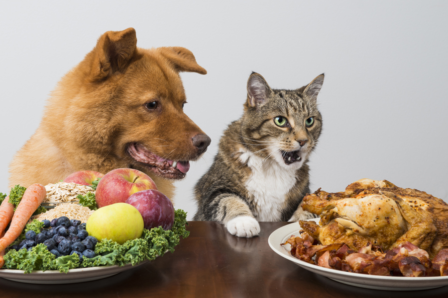  Standard Process Fen Cho Whole Food Bowel And Digestive Health With Collinsonia Root Fenugreek Seed Bile Salts And Okra Fruit 90 Capsules Health Household A BSW monitor basic.