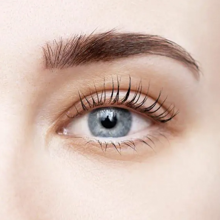 Mobile Keratin Lash Lift & Tint - Image 2