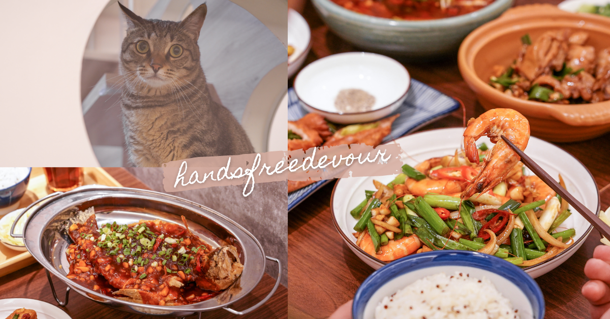 漢食福利的貓 |貓奴天堂！台中勤美療癒餐廳，萌貓陪你吃飯，招牌川菜料理，香辣過癮好滋味！