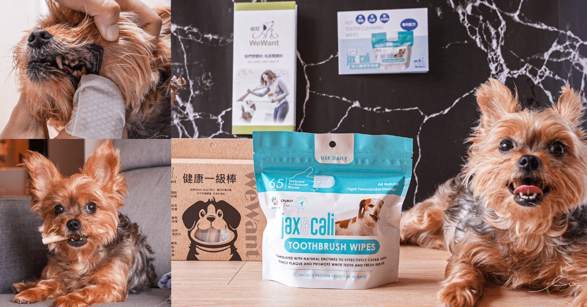 寵物潔牙還在潔牙骨嗎？寵物刷牙神器就靠傑凱3D潔牙指套！初學者輕鬆幫寵物口腔清潔～