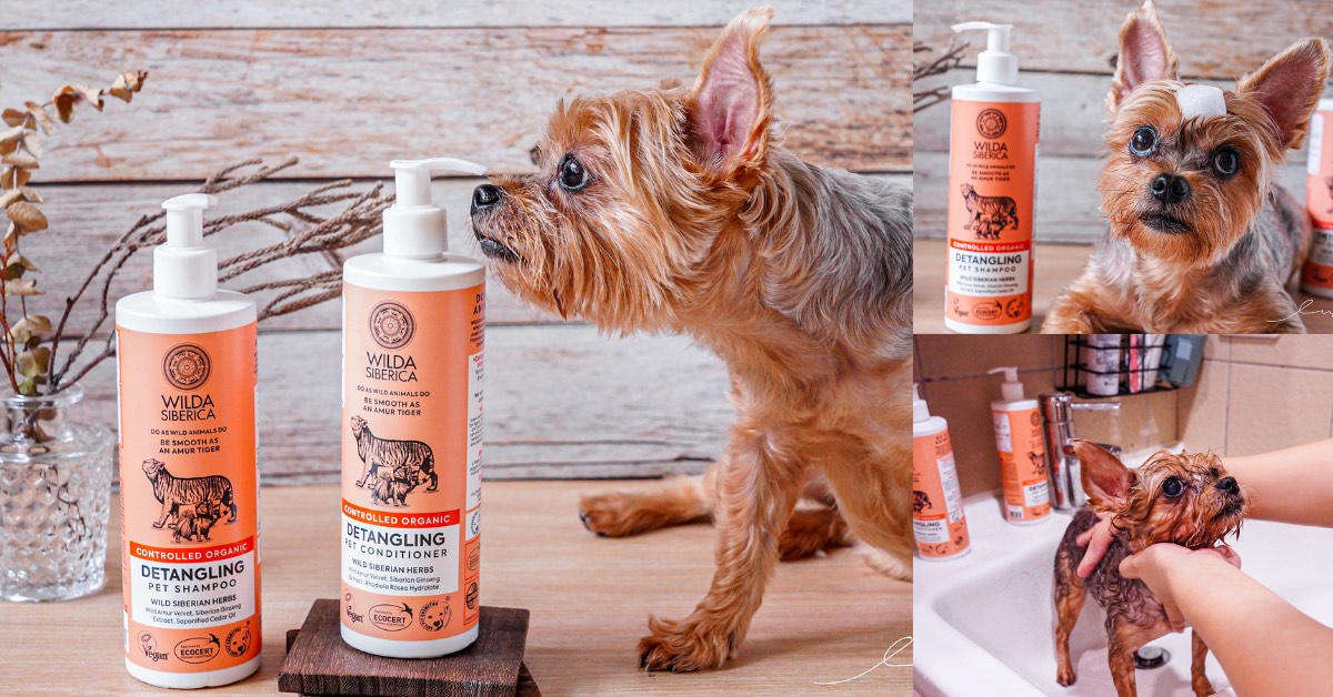 寵物洗毛精推薦 WILDA SIBERICA 野能守護柔順長毛洗毛精，輕鬆清洗、梳理就能淡淡的香氣！