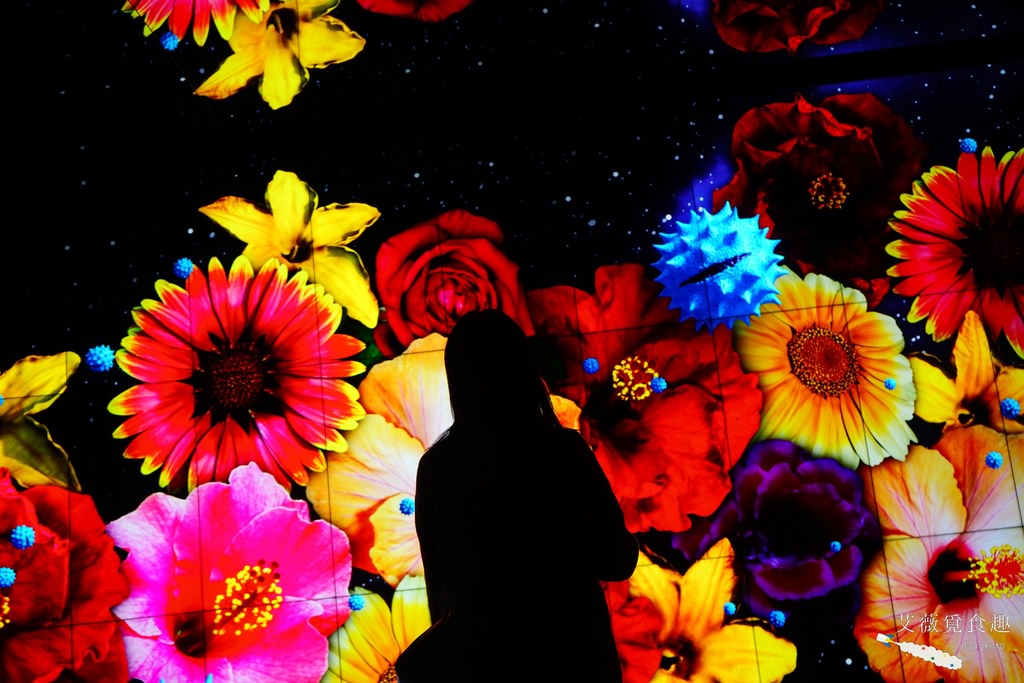 台中花博后里森林園區 || 最強花博拍照打卡與美食攻略讓你到哪都像快速通關，友達微美館全台最大的556吋顯示器拼接牆，聆聽花開的聲音綻放的美不勝收