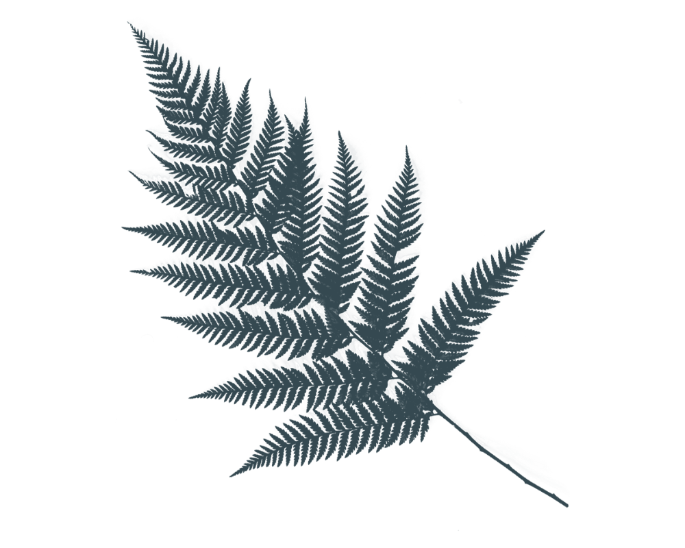 Ivy Norris - Leaf Element