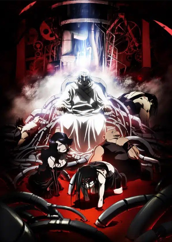 FMA homunculi