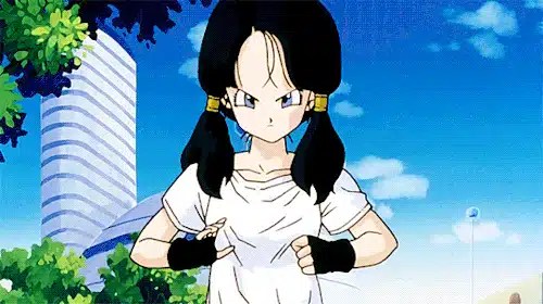 Videl Dragon Ball