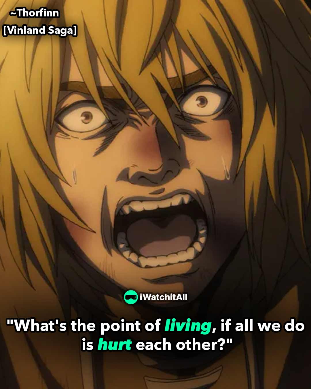 19-inspirational-vinland-saga-quotes-iwa