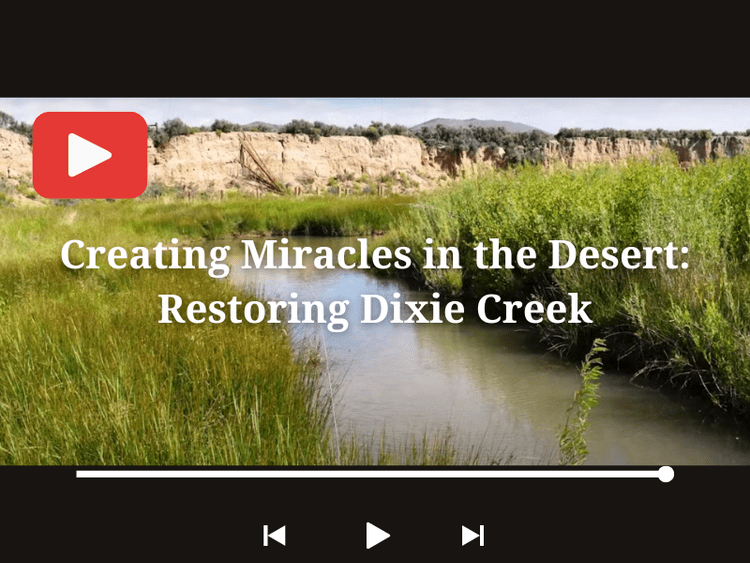 Thumbnail for Dixie Creek video