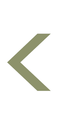 Previous
