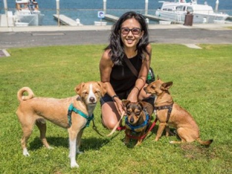 Dog Training in Playa Vista