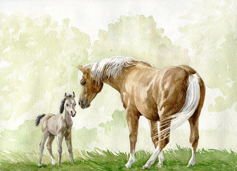 Nola McConnan Canada Celebrating, Getting to Know You 10x15"