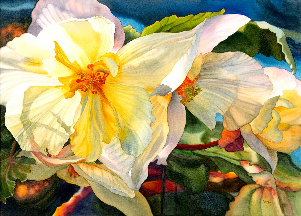 Honourable Mention: Marney Ward Canada Butchart's Begonias 21x29"