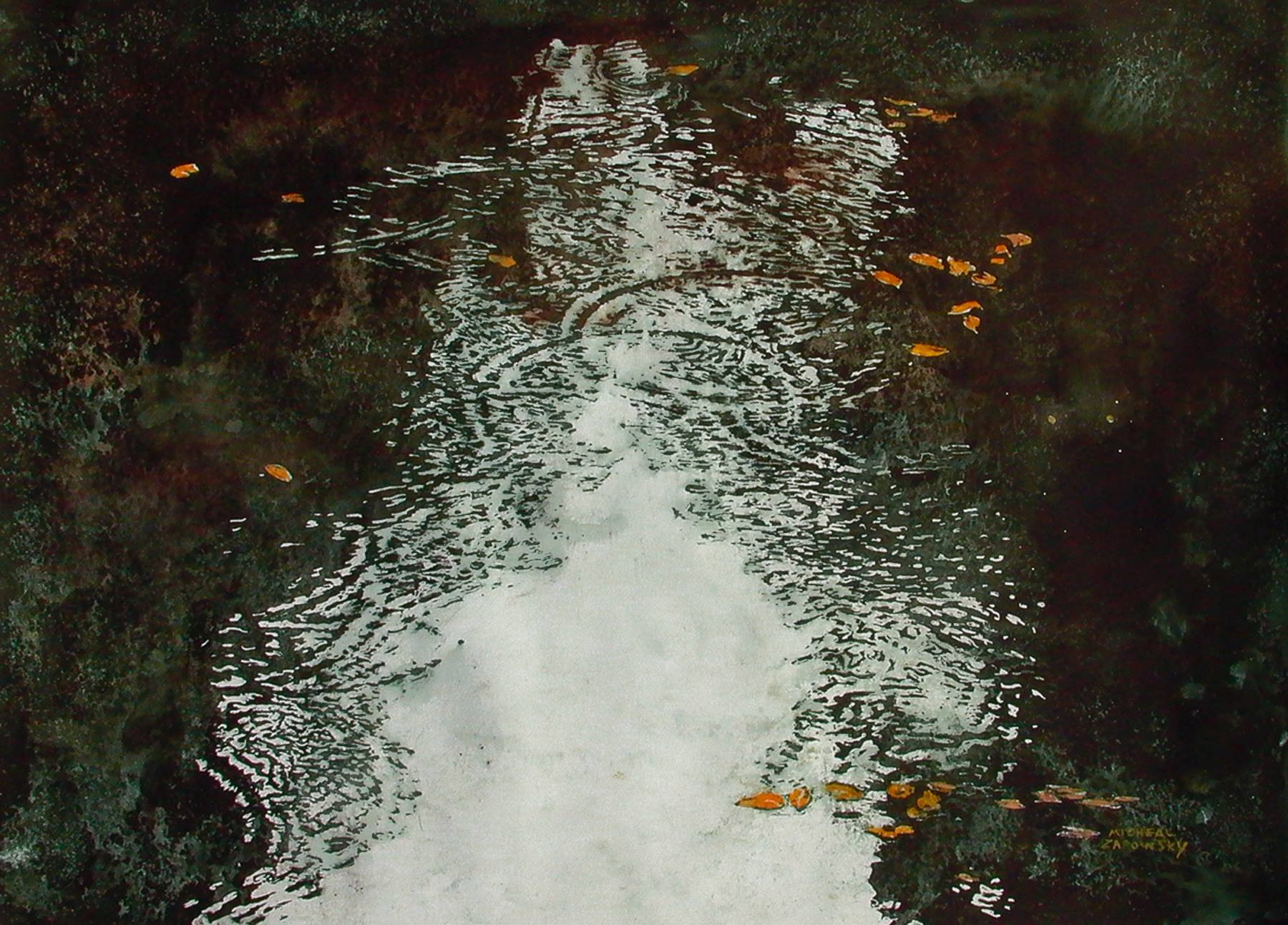 Michael Zarowsky Canada (the beginning of) RAIN 23x35"