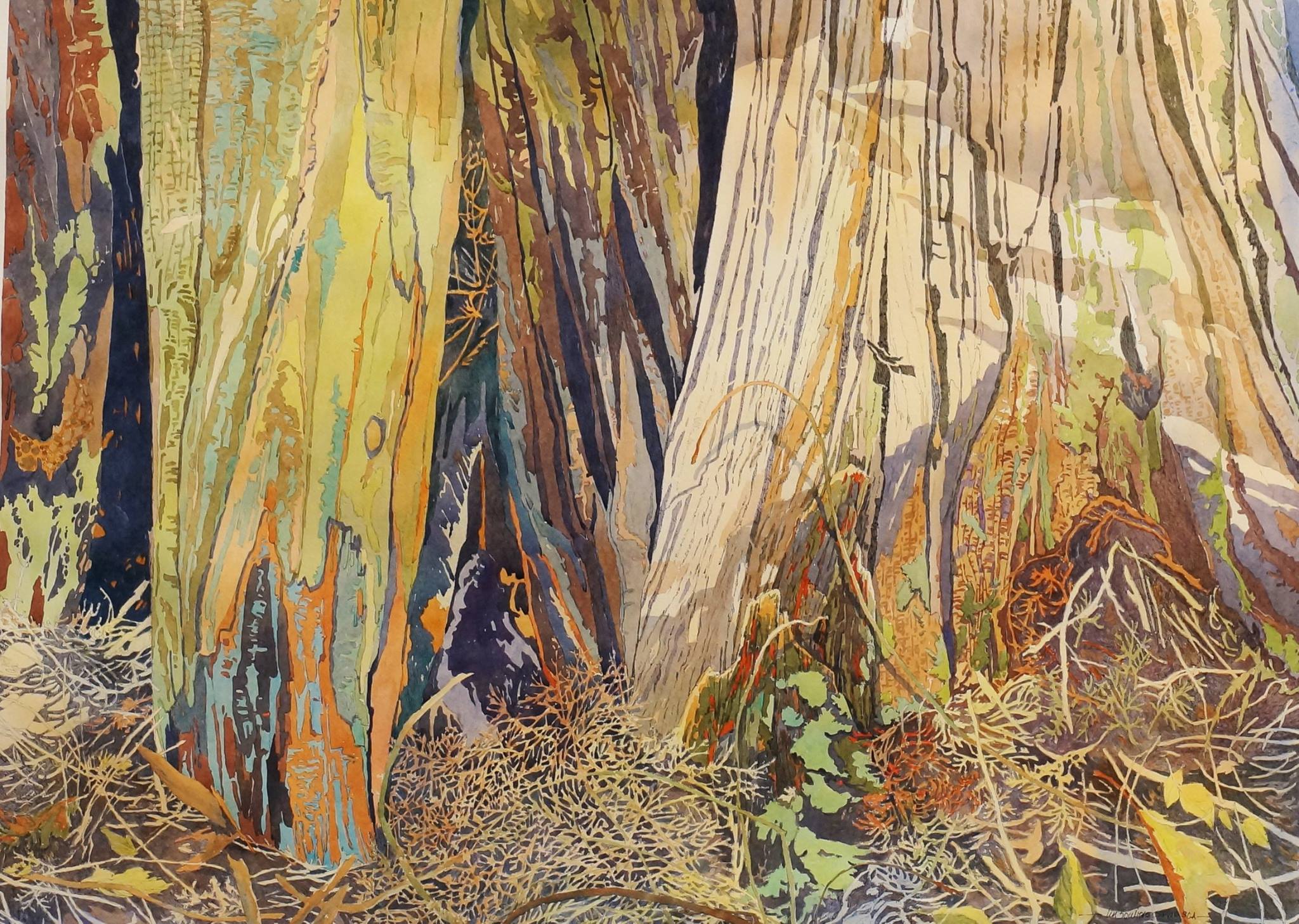 Lin Souliere Canada Ancient Forests 22x30"