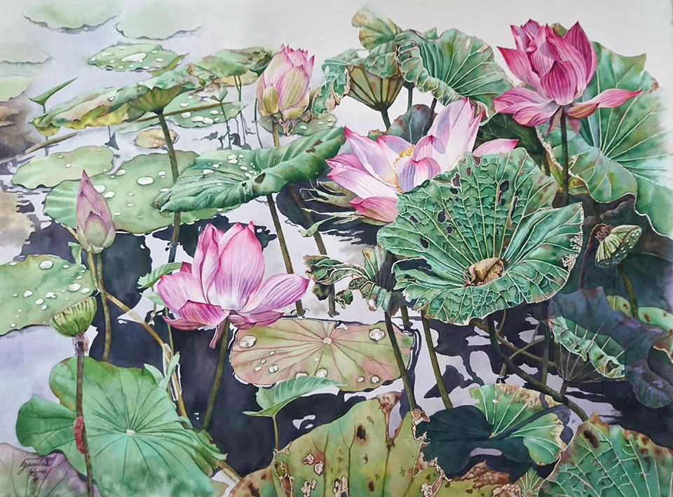 Apirak Garunda Thailand Nelumbo nucifera 56x78 cm