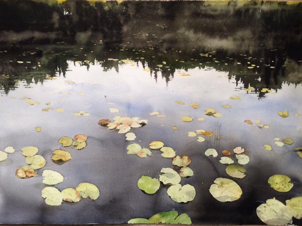 Peter Eugén Sweden Waterlilies in Sweden 105x76 cm