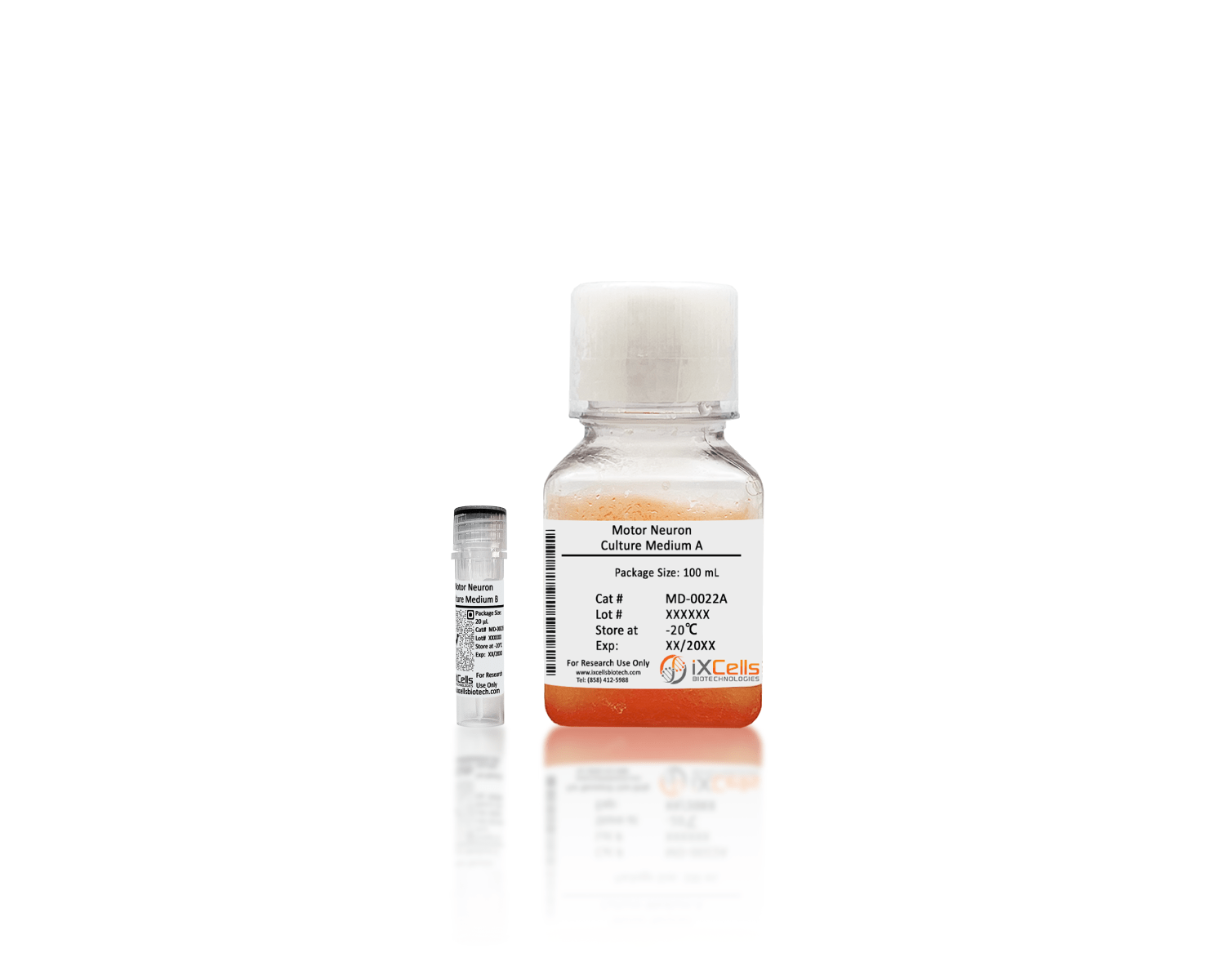 薬物治療学 VISUAL CORE PHARMA 薬物治療学 VISUAL CORE PHARMA 薬物治療学 VISUAL CORE PHARMA