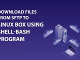 Download Files From Sftp To Linux Using Shell Bash