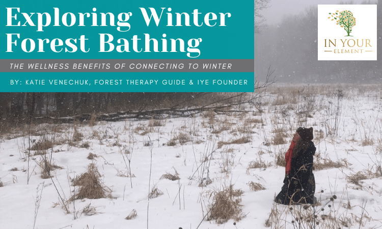 Cover image for a blog post. In the top left corner is a turquoise box with text that reads: "Exploring Winter Forest Bathing - The Wellness Benefits of Connecting to Winter By: Katie Venechuk, Forest Therapy Guide & IYE Founder". A photo in the background shows a snowy open field with patches of tall brown grasses and plants peeking through snowcover. The sky in the background is obscured by falling snow. In the foreground of the photo, a woman is kneeling in the snow with her hands on her lap. She is wearing a dark coat and knit hat and a red scarf. She lifts her face upwards, taking in the fresh air. The In Your Element logo is in the top right corner of the image.