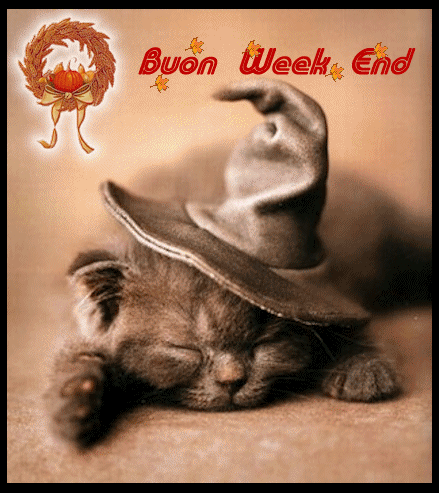 Gratuito immagini Https Encrypted Tbn0 Gstatic Com Images Q Tbn 3aand9gcqkwoguvq4kkwqsycutnbiyipigdbqhzt3vr1wdbe7krqjwe1ur ultima saluti