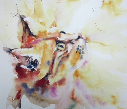 мастер класс как нарисовать кота