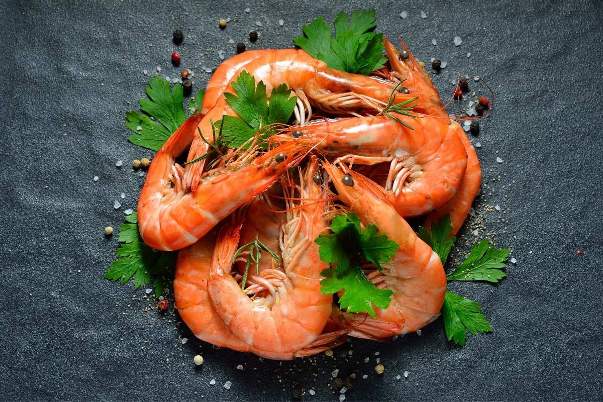 Cover Image of the Post