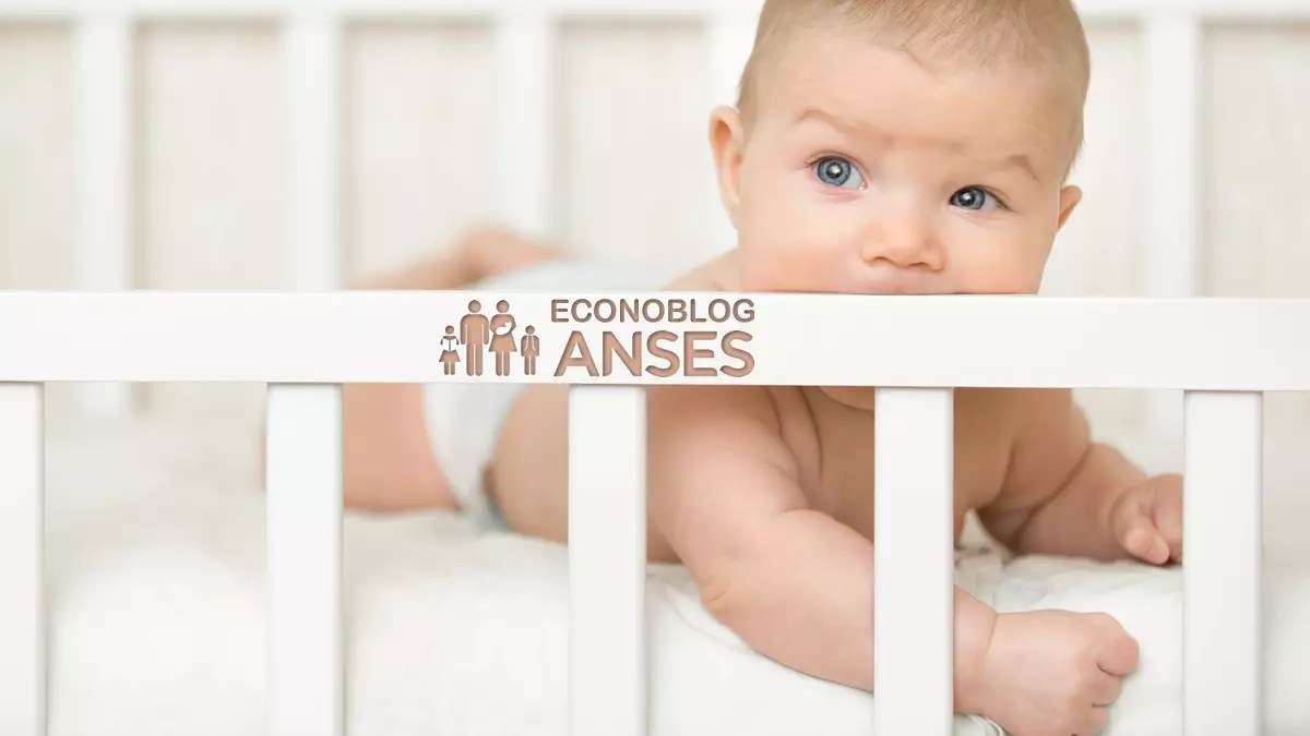 noticiaspuertosantacruz.com.ar - Imagen extraida de: https://www.econoblog.com.ar/123394/beneficios-del-plan-de-los-mil-dias-para-auh/