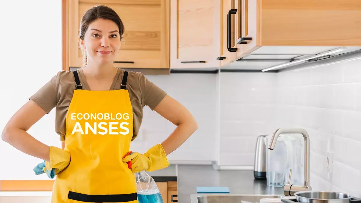 Imagen extraida de: https://www.econoblog.com.ar/120386/reglamentaron-fondo-de-desempleo-y-jubilacion-para-empleados-domesticos/