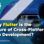 Why Flutter Is The Future Of Cross-Platform App Development?