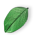 https://i0.wp.com/jackalsfacility.com.au/wp-content/uploads/2025/07/floating_leaf_01.png?fit=130%2C122&ssl=1