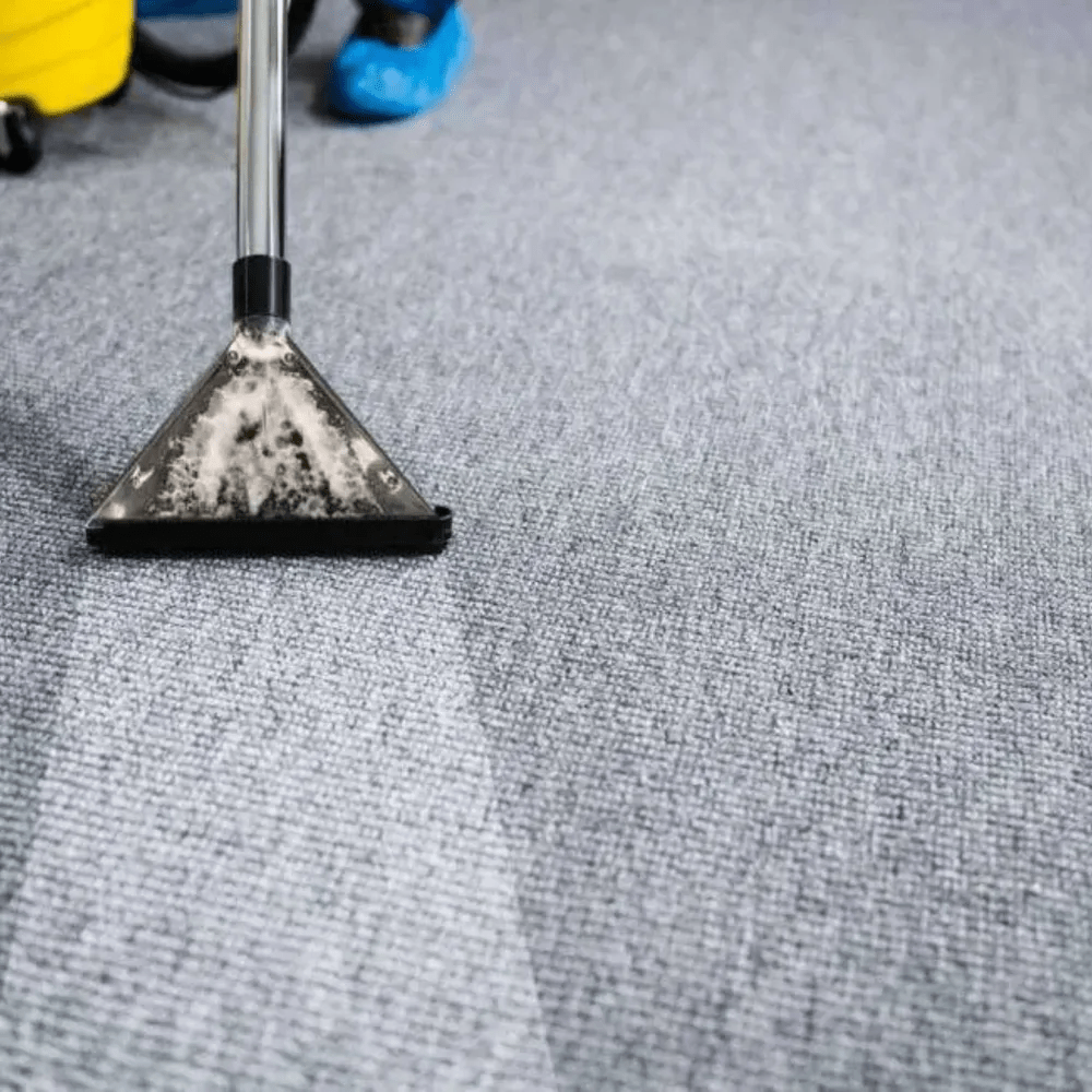https://i0.wp.com/jackalsfacility.com.au/wp-content/uploads/2026/07/carpet-steam-cleaning-optimised-1.webp?fit=1000%2C1000&ssl=1