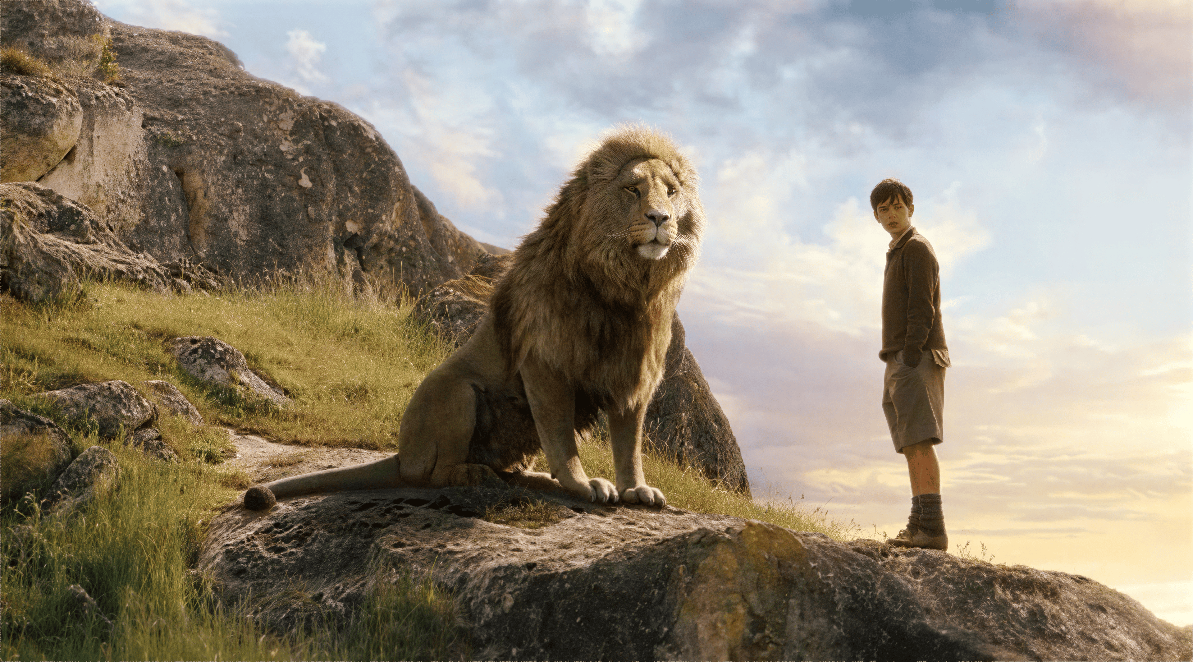 Lion Upscaled
