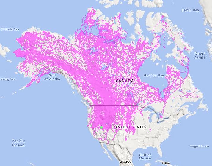 Where do rough-legged hawks fly? Anywhere they want to. (Kidd Biological Inc.)