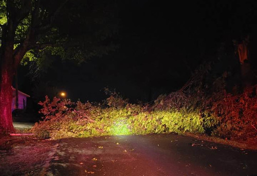 Back-to-back storms systems wreak havoc across Jackson Parish