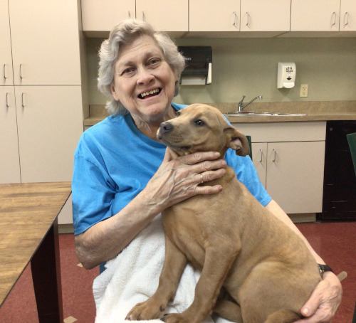 Forest Haven residents have a “dog”gone good time