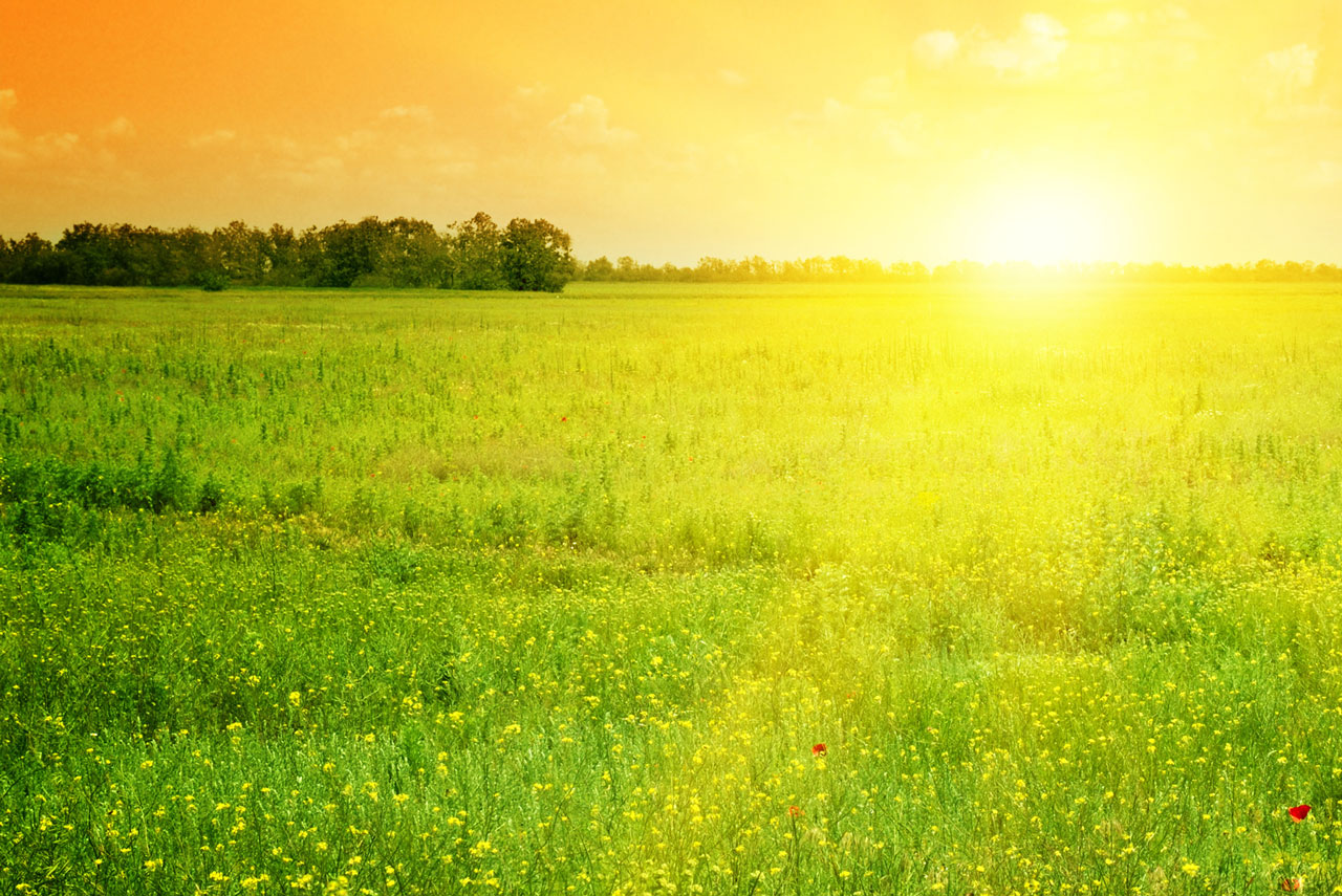 Don’t Miss Your Flight – Spring Forward – Fall Back