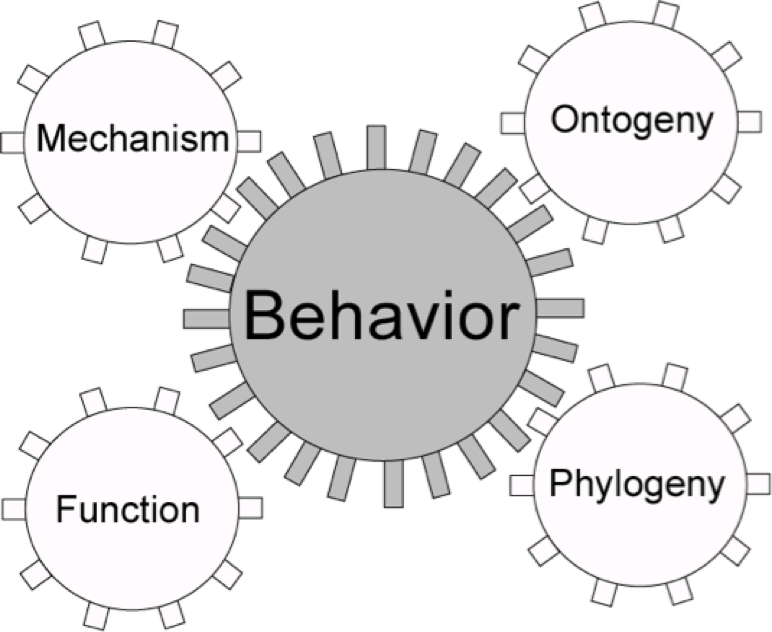 Squirrel School | Jacobs Lab