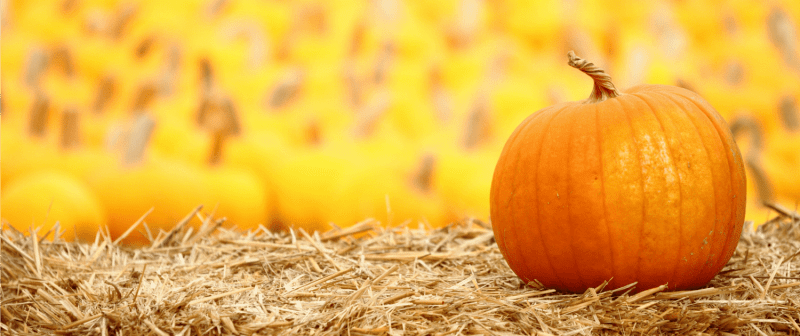 Jacobsjava Seasonal Coldbrew Website Jacobs Java - Amazing Ultra HD Light Pictures | Free Download