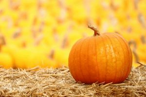 Jacobsjava Seasonal Coldbrew Website Jacobs Java - Best Abstract Patterns in Ultra HD