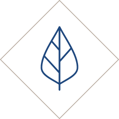 Adaptive Reuse Construction Projects Jacoby Development - Ocean Designs - Perfect High Resolution Collection