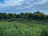 Cumberland Inlet Real Estate Development