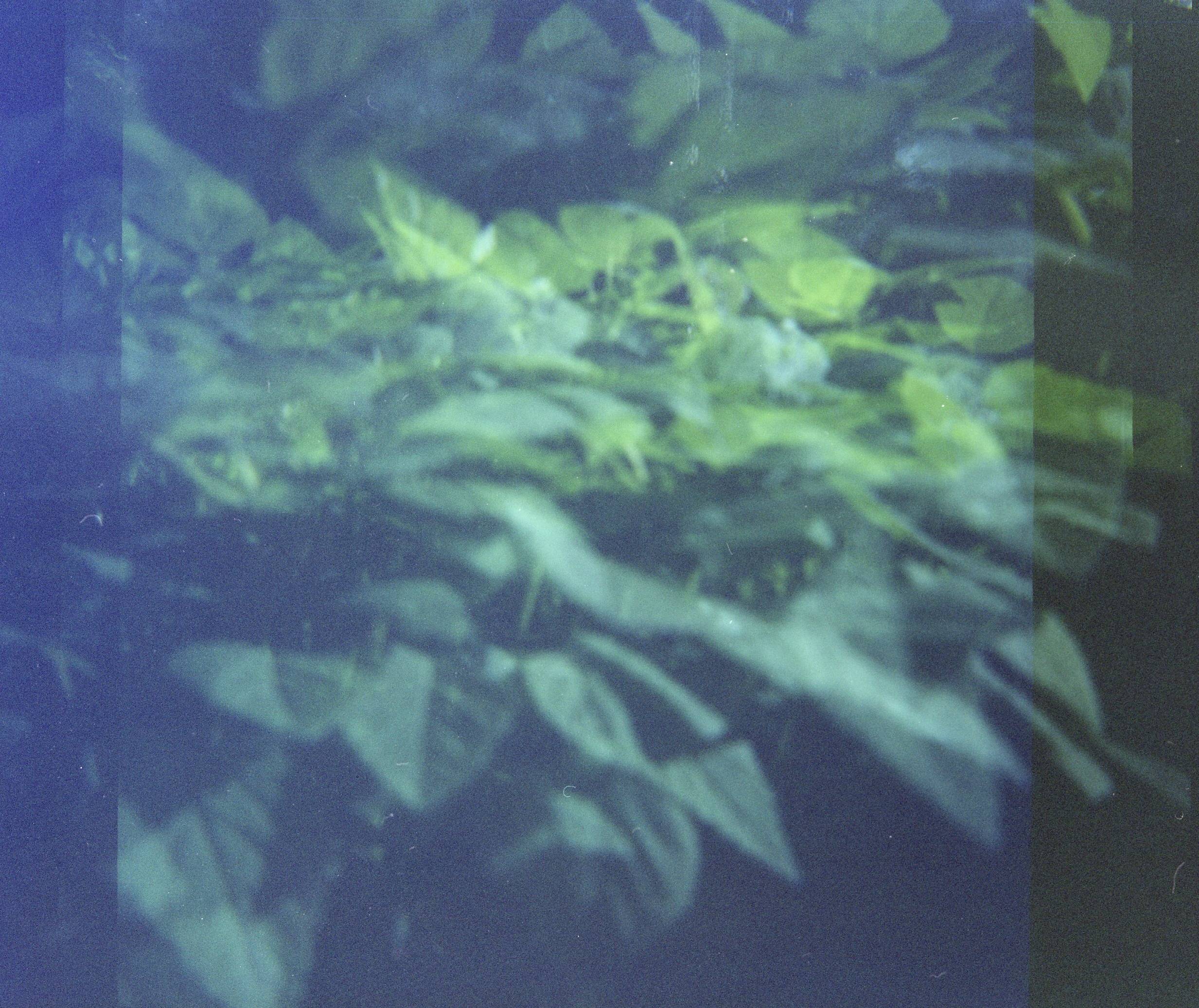 Color 1